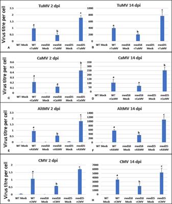 Suppression of Arabidopsis Mediator Subunit-Encoding MED18 Confers Broad Resistance Against <mark class="highlighted">DNA and RNA Viruses</mark> While MED25 Is Required for Virus Defense
